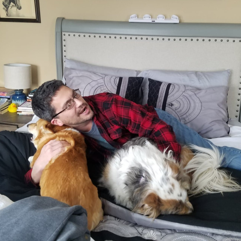 Josh and dogs
